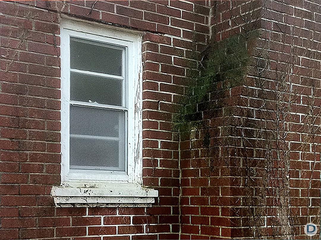 Façade encrassée avant traitement